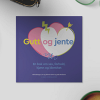 GuttogJente Bok 